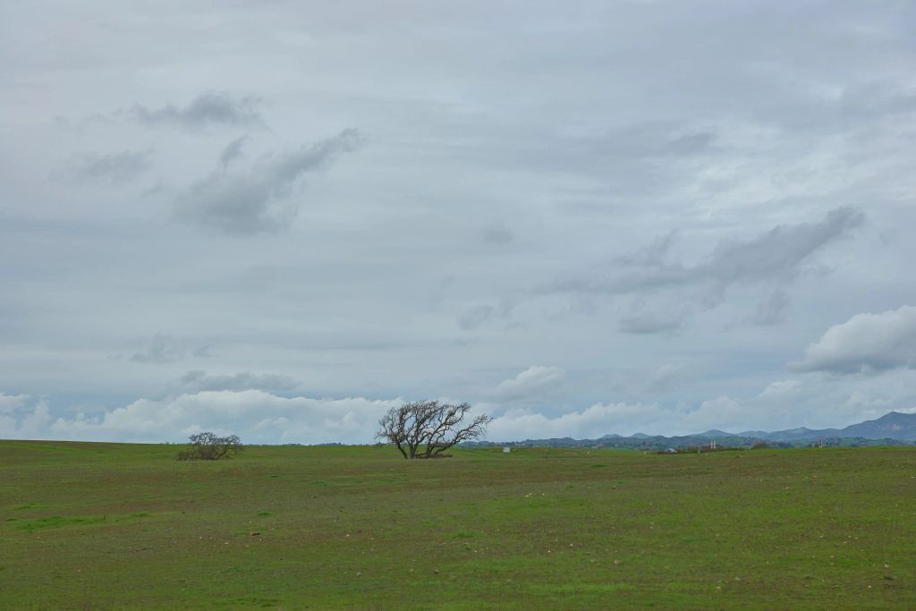 L1110121.jpeg