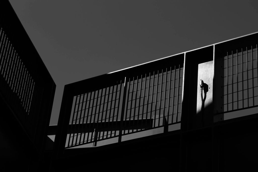 L1000531.jpg